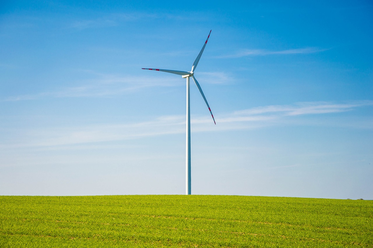 Sustainable Home Improvements that are Worth the Investment
